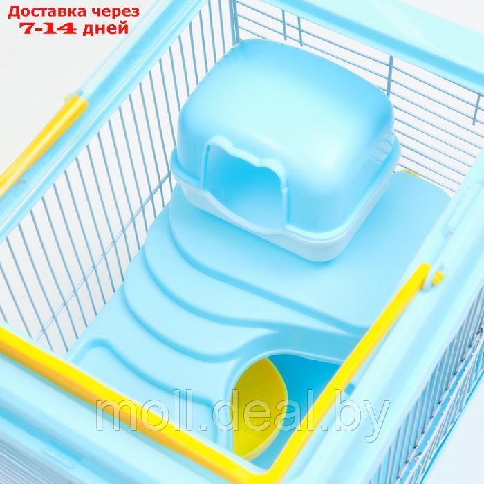 Клетка для грызунов "Пижон", 27 х 21 х 27 см, голубая - фото 7 - id-p198320028