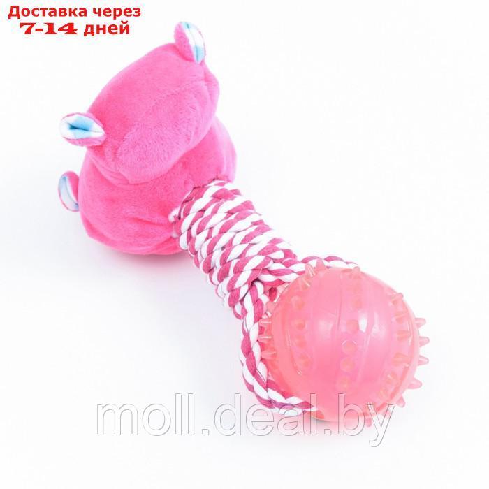 Игрушка для собак 3-в-1 "Бегемот": канатная, мягкая с пищалкой, мяч TPR, 20 см, розовая - фото 2 - id-p198325981