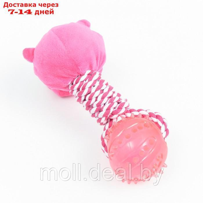 Игрушка для собак 3-в-1 "Бегемот": канатная, мягкая с пищалкой, мяч TPR, 20 см, розовая - фото 3 - id-p198325981