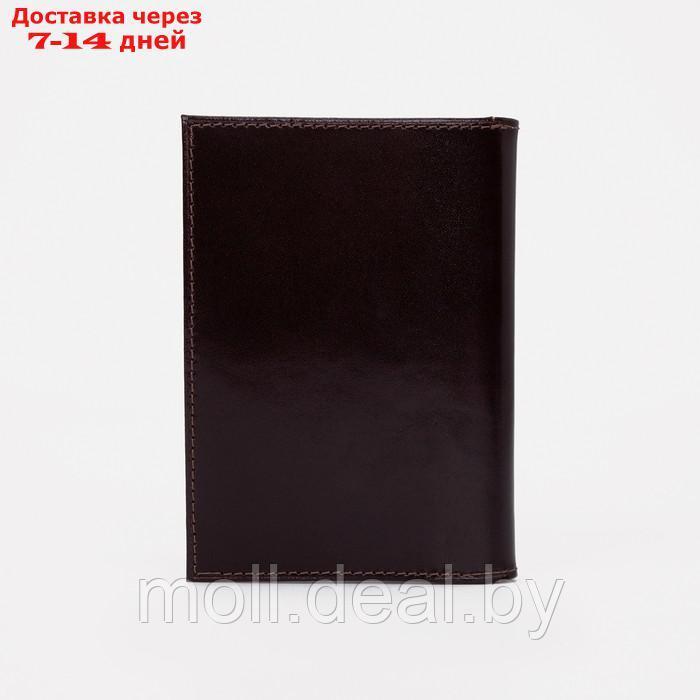 Обложка д/автодок+паспорт, 10*1*14 см, шик коричневый - фото 2 - id-p198326016
