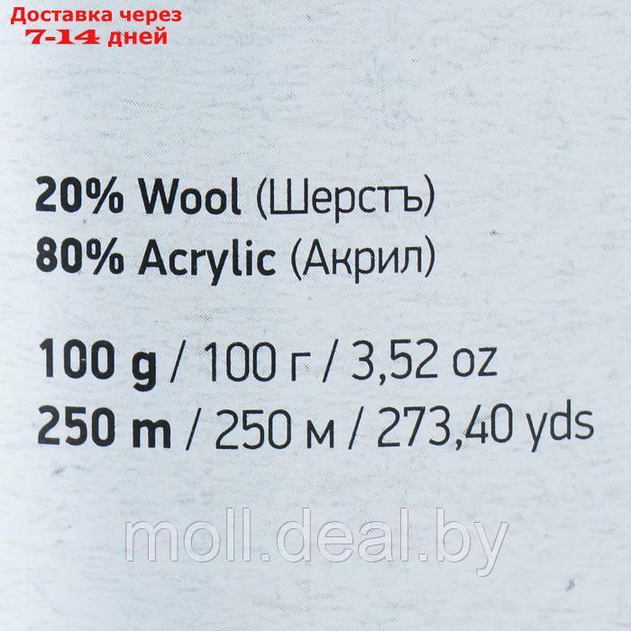 Пряжа "Ambiance" 80% акрил, 20% шерсть 250м/100г (159) - фото 4 - id-p198323893