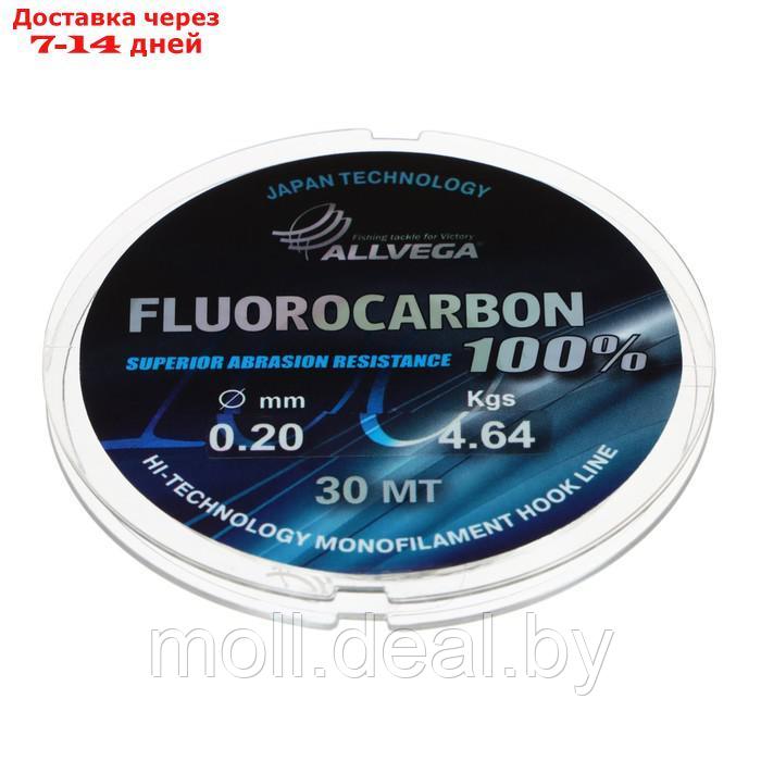 Леска монофильная ALLVEGA "FX Fluorocarbon 100%" 30м 0,20мм, 4,64кг, флюорокарбон 100% - фото 1 - id-p198323909