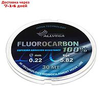 Леска монофильная ALLVEGA "FX Fluorocarbon 100%" 30м 0,22мм, 5,82кг, флюорокарбон 100%