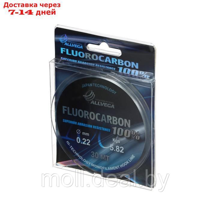 Леска монофильная ALLVEGA "FX Fluorocarbon 100%" 30м 0,22мм, 5,82кг, флюорокарбон 100% - фото 2 - id-p198323939