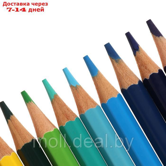 Карандаши акварельные 24 цвета, Луч "Классика", с кистью - фото 3 - id-p198326392