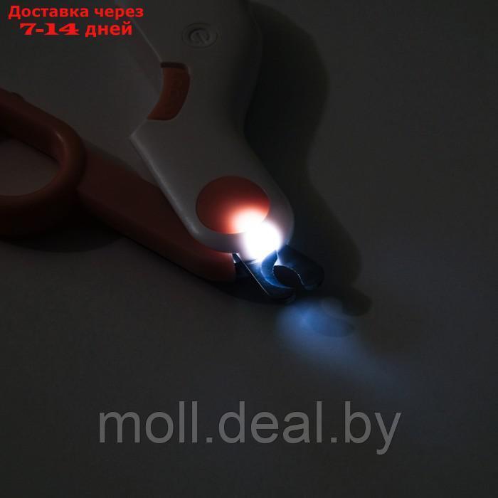 Когтерез - ножницы для животных с LED фонарём, розовый - фото 2 - id-p198324571