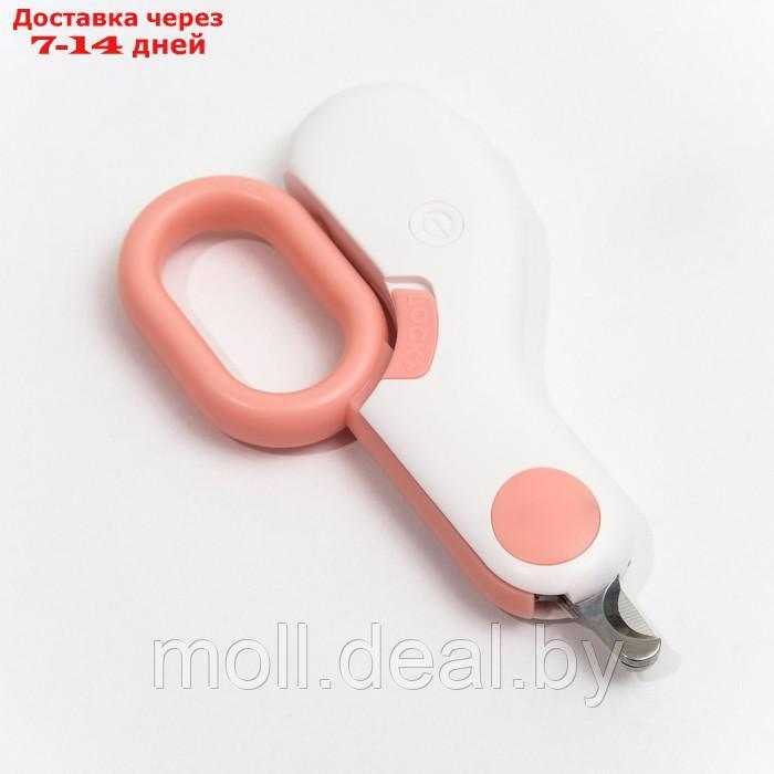 Когтерез - ножницы для животных с LED фонарём, розовый - фото 3 - id-p198324571