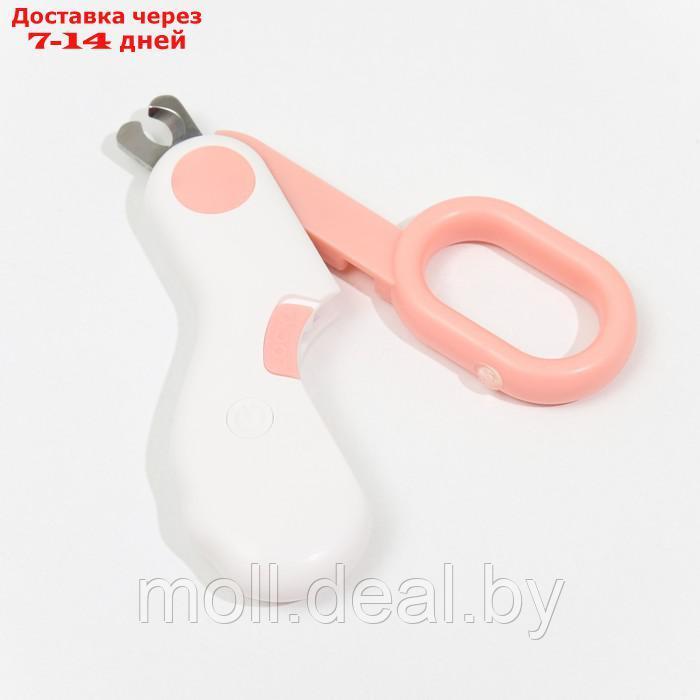Когтерез - ножницы для животных с LED фонарём, розовый - фото 4 - id-p198324571