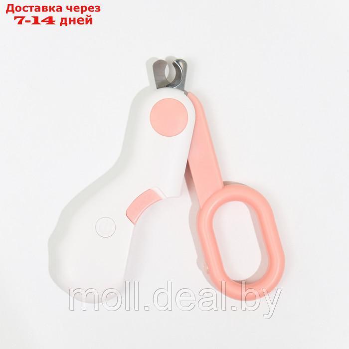 Когтерез - ножницы для животных с LED фонарём, розовый - фото 5 - id-p198324571