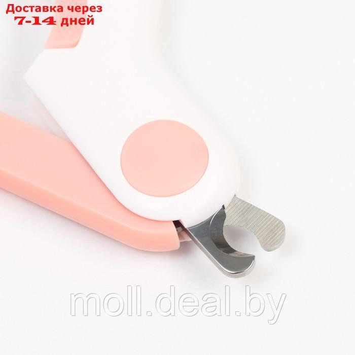 Когтерез - ножницы для животных с LED фонарём, розовый - фото 6 - id-p198324571