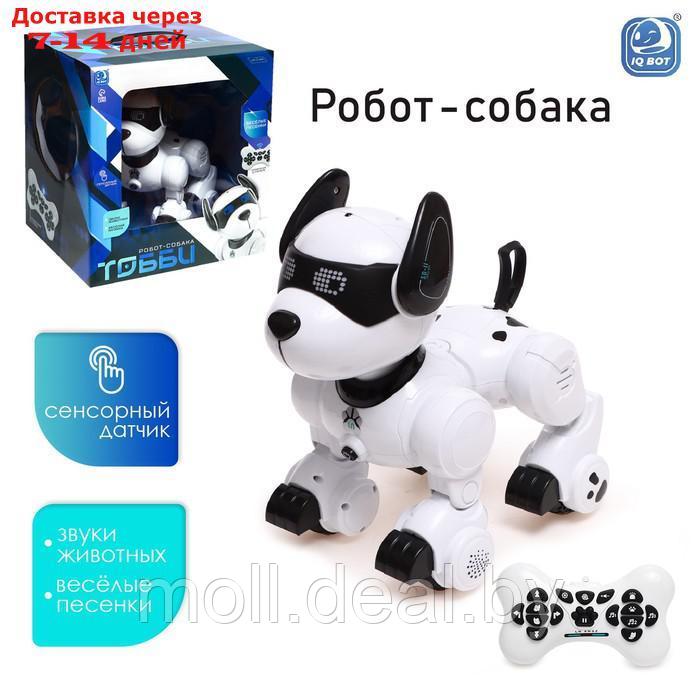 Робот-собака "Тобби", звуковые и световые эффекты - фото 1 - id-p198322671