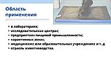 Современный дезбарьер для дезинфекции обуви. 50х80 ( высота 3 см), фото 2