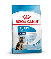 Сухой корм для щенков Royal Canin Maxi Junior 3 кг