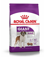 Сухой корм для собак Royal Canin Giant Adult 4 кг