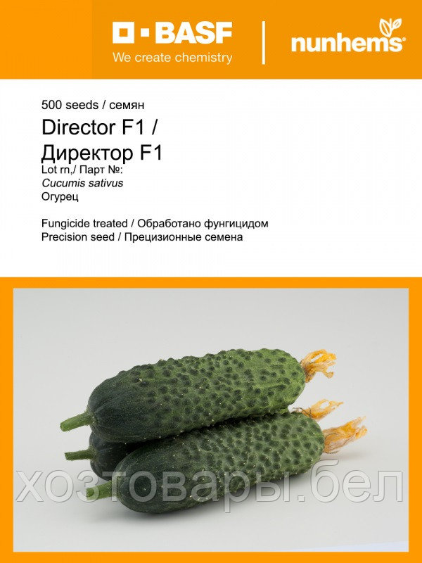 Семена огурца "Директор"F1 10шт Syngenta Seeds B.V. - фото 5 - id-p198050734
