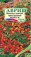 Виноград триостренный Нептун девичий 5шт Одн 20см (Гавриш)