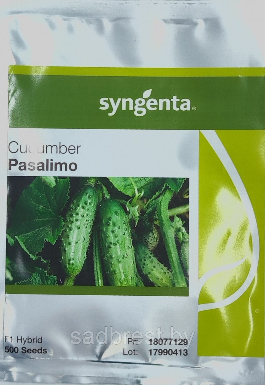 Семена Огурец Пасалимо F1 Сингента Syngenta (500 шт) - фото 1 - id-p198509450