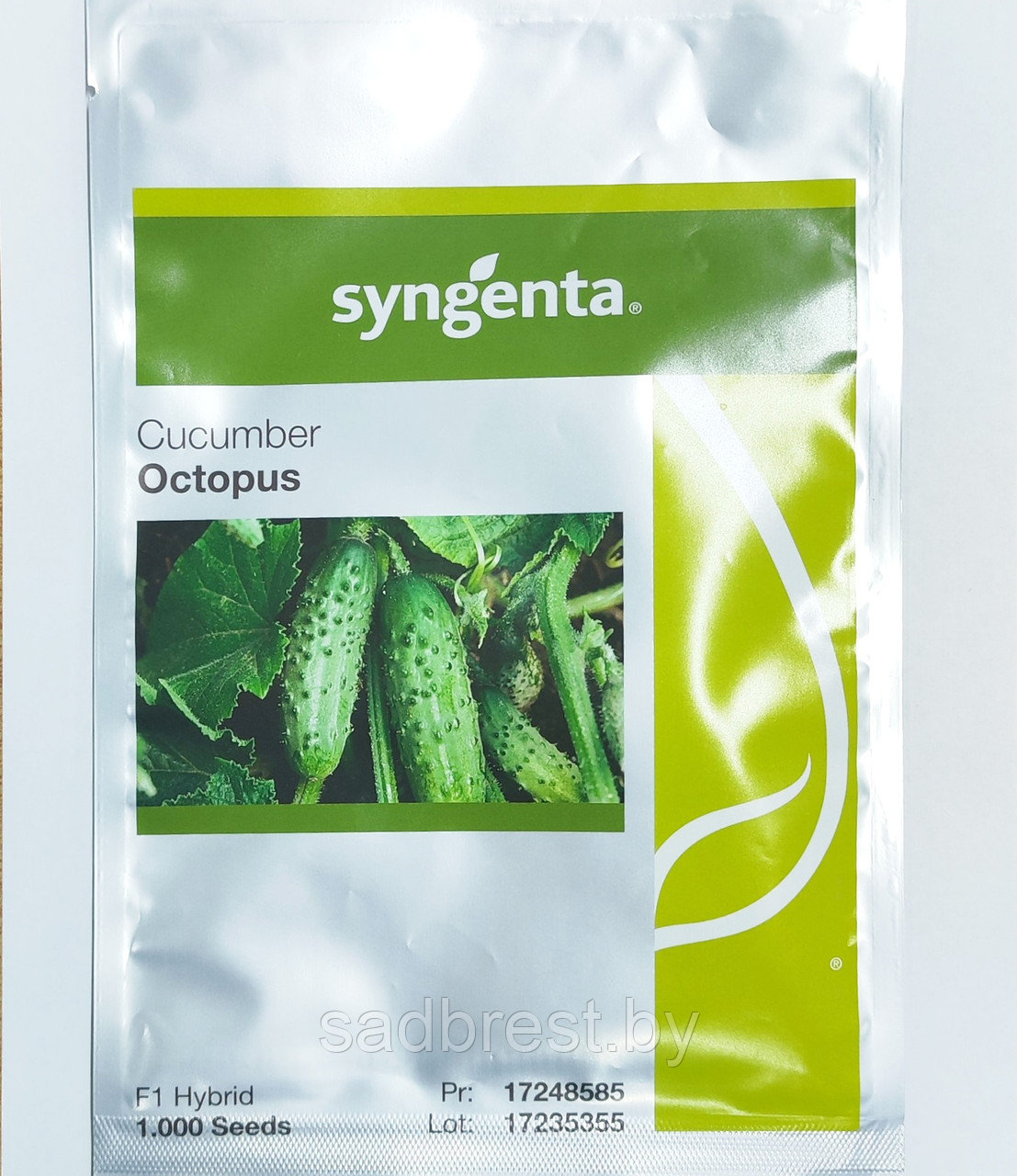 Семена Огурец Октопус F1 Сингента Syngenta (1000 шт)