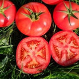 Томат "Пинк Кристал" F1 (5 шт), Франция, фото 2