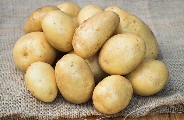 Виды семенного картофеля