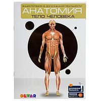 Энциклопедия 4D в дополненной реальности Devar Анатомия. Тело человека