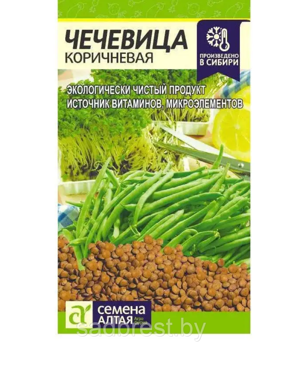 Семена Чечевица Коричневая (5 гр) Семена Алтая - фото 1 - id-p198656635
