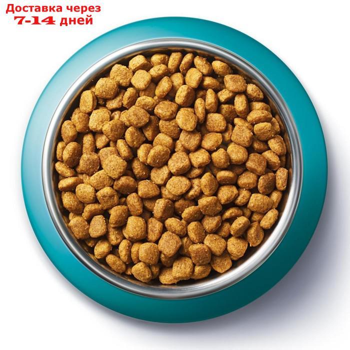 Сухой корм Purinа one для кошек, индейка/рис, 1.5 кг - фото 5 - id-p198560297