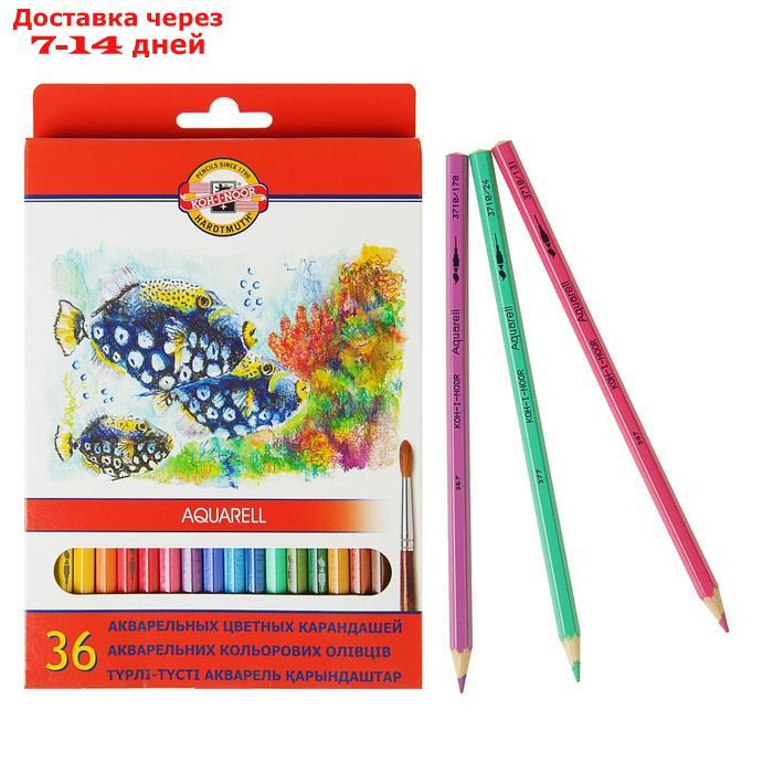Карандаши акварельные Koh-I-Noor Fish 3719/36, 36 цветов, картонная коробка, европодвес - фото 1 - id-p198557812