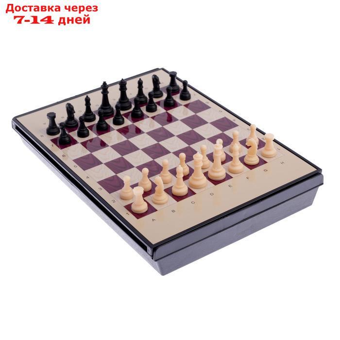 Игра настольная "Шахматы" с ящиком, магнитные в коробке 24х18 см - фото 9 - id-p198555776