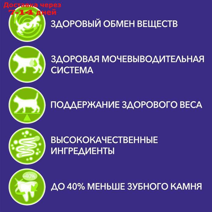 Сухой корм Purinа one для стерилизованных кошек, природа здоровья, говядина, 680 г - фото 3 - id-p198559825