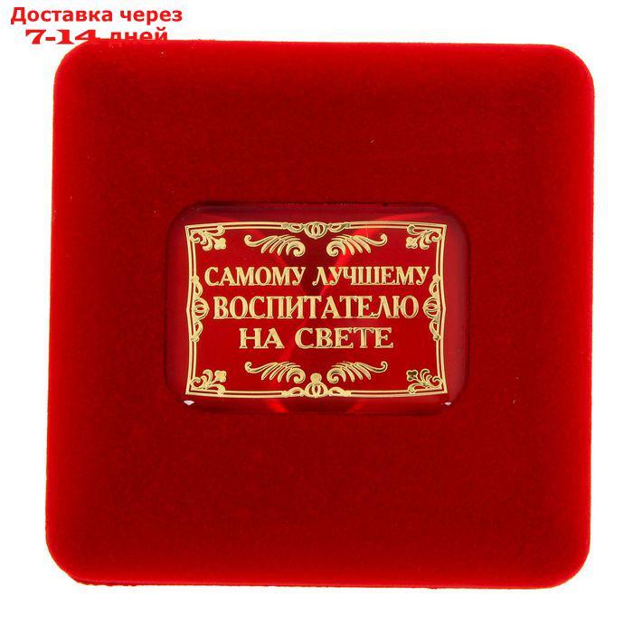 Медаль в бархатной коробке "Любимой воспитательнице" - фото 4 - id-p198558772