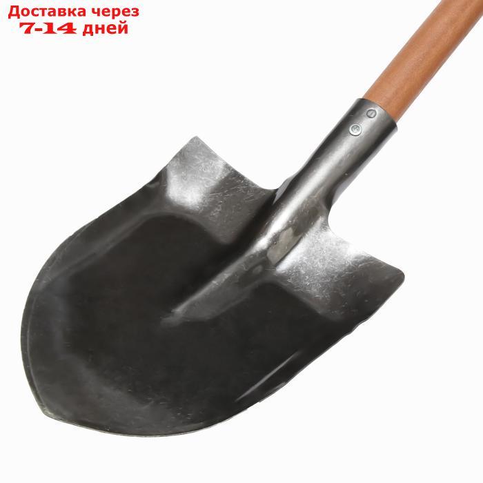 Лопата универсальная, с рёбрами жёсткости, деревянный черенок, "Премиум" - фото 3 - id-p198558917