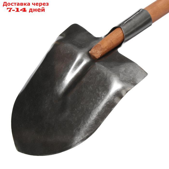 Лопата универсальная, с рёбрами жёсткости, деревянный черенок, "Премиум" - фото 4 - id-p198558917