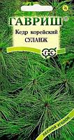 Кедр Суланж корейский 3шт 40см (Гавриш)