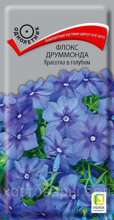 Флокс Красотка в голубом друммонда 0,1г Одн (Поиск)