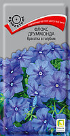 Флокс Красотка в голубом друммонда 0,1г Одн (Поиск)