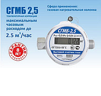 Счетчик газа СГМБ-2.5