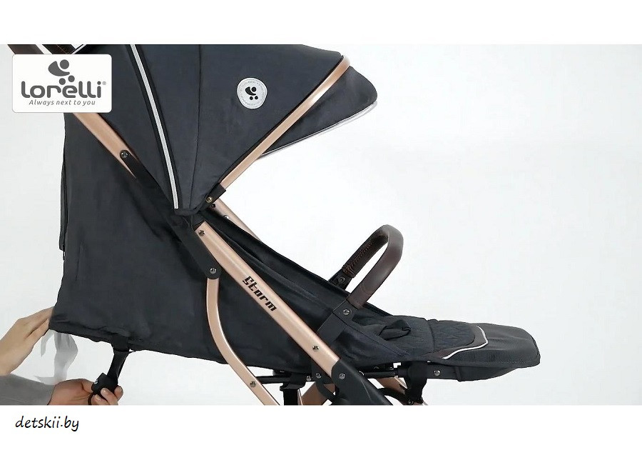 Детская прогулочная коляска Lorelli Storm 2в1 Luxe Black 2021 - фото 5 - id-p198750565