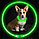 Ошейник  для собак светящийся, USB зарядка, фото 4