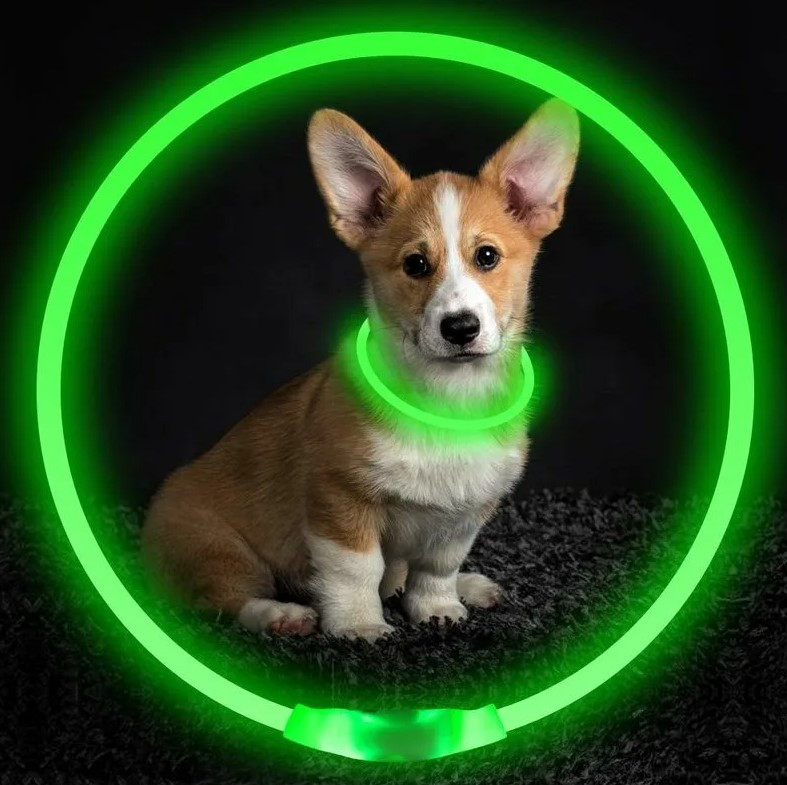 Ошейник для собак светящийся, USB зарядка - фото 4 - id-p198749842
