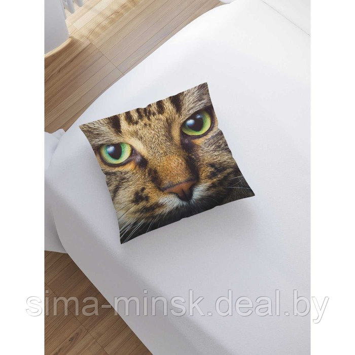 Наволочка декоративная «Взгляд кота», размер 45 х 45 см, вшитая молния - фото 2 - id-p198758533