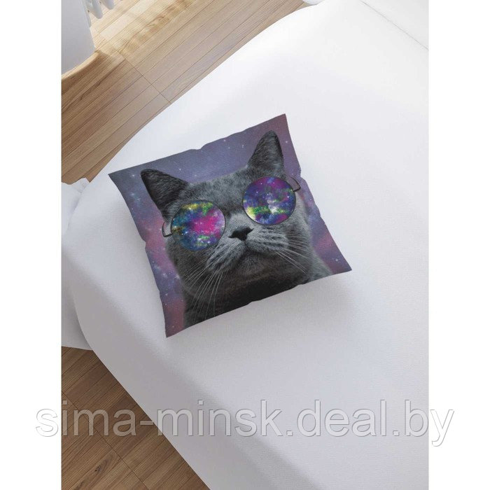 Наволочка декоративная «Кот в очках», размер 45 х 45 см, вшитая молния - фото 2 - id-p198758550