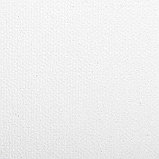 Холсты на подрамнике 4 шт., круглые 20, 30, 40, 50 см, грунтованные, 380 г/м2, 100% хлопок, BRAUBERG, фото 4