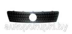 РЕШЕТКА РАДИАТОРА Fiat Punto 06.2003-2006, PFT07003GA(I)