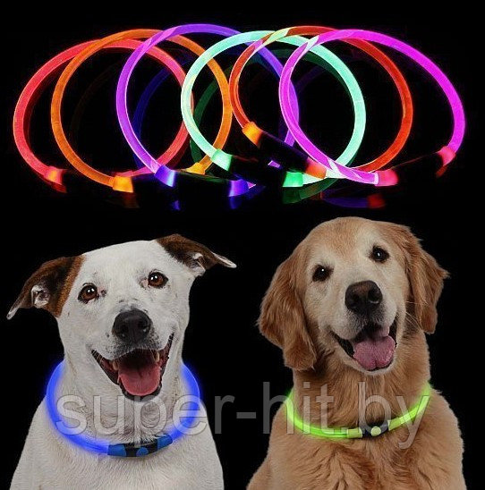 Ошейник для собак светящийся, USB зарядка - фото 1 - id-p198779802