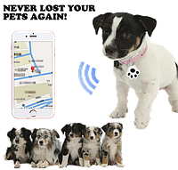Брелок-антипотеряшка Gps-трекер брелок mini smart лапка