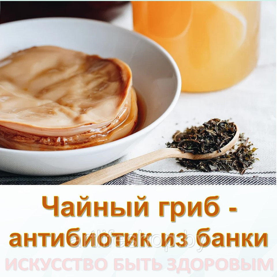 Диета при артрозе суставов: рецепты вкусных и полезных блюд. Статьи  компании «Арт Лайф Беларусь Индивидуальный предприниматель Болгов Виталий  Геннадьевич»