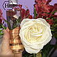 Лосьон пилинг Holy Land Boldcare Starting Lotion 150мл, фото 2