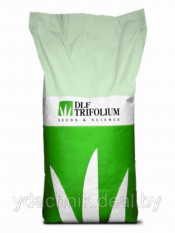 Газонная трава ДЛФ Трифолиум Интеррос-универсал 1 кг
