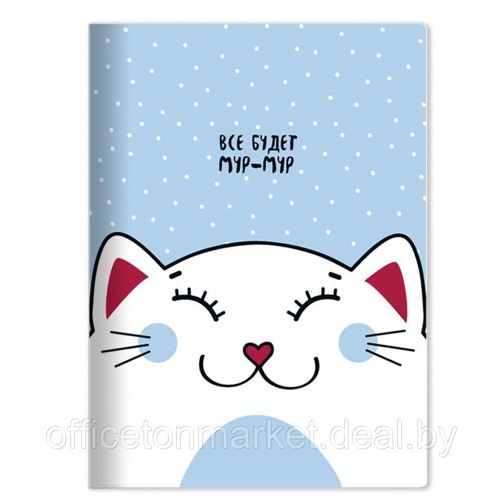 Тетрадь "Mur-mur кот", А4, 40 листов, клетка, голубой, белый - фото 1 - id-p198976495